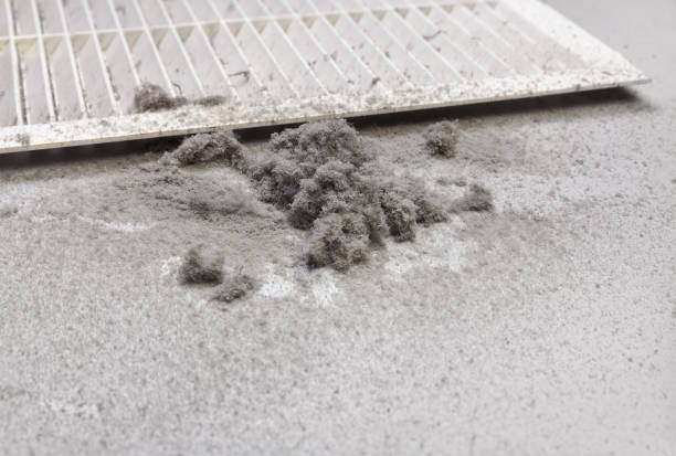 Best HVAC Duct Inspection Services  in Waawa, HI