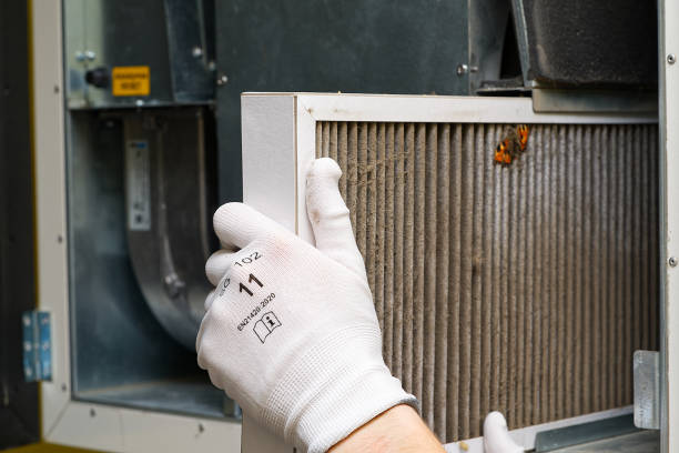 Best Air Vent Cleaning Services  in Waawa, HI