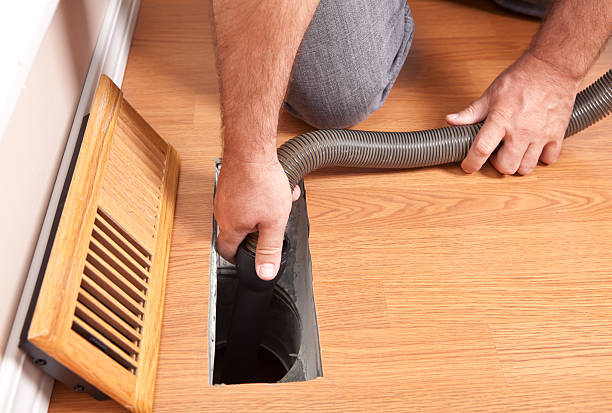 Best Air Duct Mold Removal  in Waawa, HI